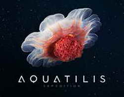 Red Magic 8S Pro возглавил рейтинг AnTuTu