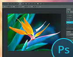 Новые эргономичные мониторы Digma DM-MONB2407 и DM-MONB2707