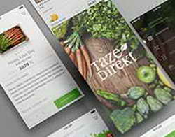 Губернатор назначил министра информации