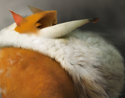 Релиз Firefox 104